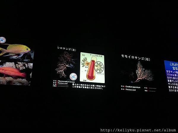 IMG_4448.JPG IMG_4448.JPG