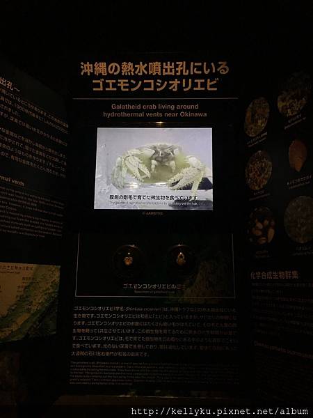 IMG_4454.JPG IMG_4454.JPG