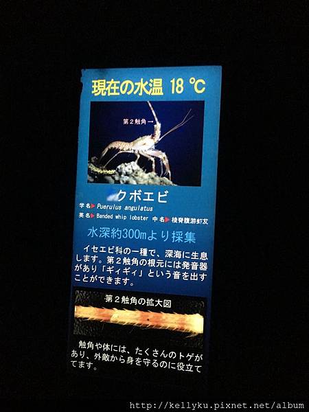 IMG_4460.JPG IMG_4460.JPG