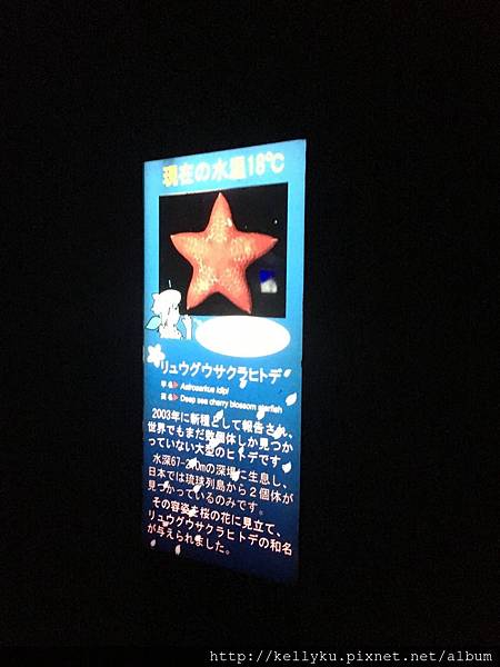 IMG_4462.JPG IMG_4462.JPG