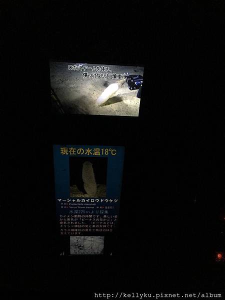 IMG_4466.JPG IMG_4466.JPG
