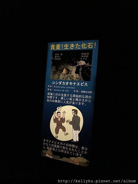 IMG_4465.JPG IMG_4465.JPG