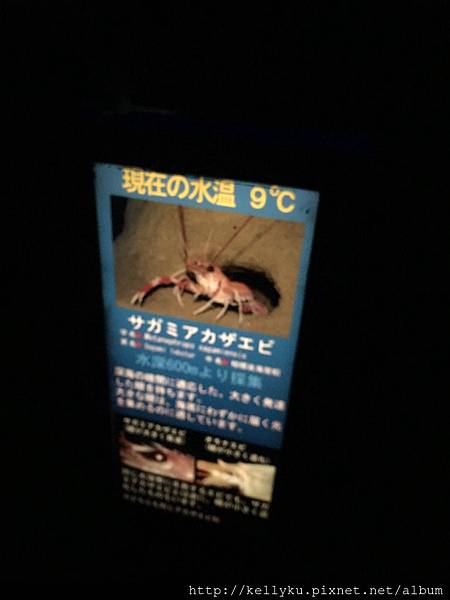 IMG_4469.JPG IMG_4469.JPG