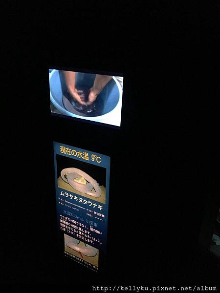 IMG_4471.JPG IMG_4471.JPG