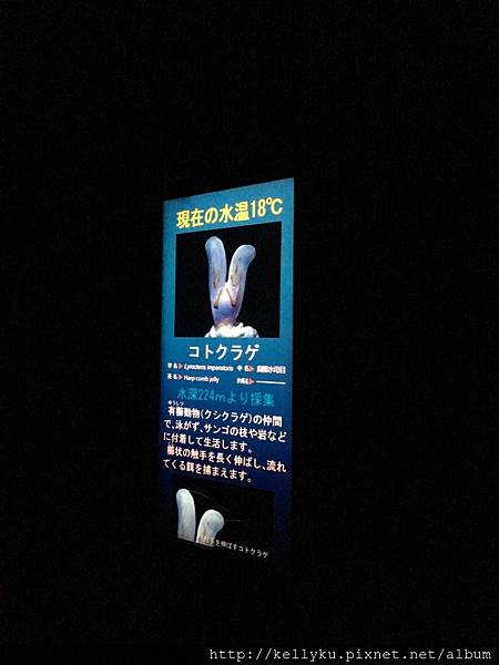 IMG_4473.JPG IMG_4473.JPG
