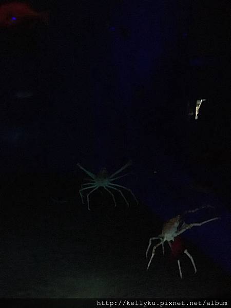 IMG_4476.JPG IMG_4476.JPG