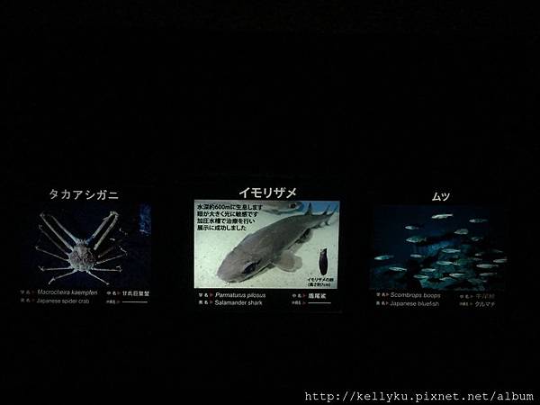 IMG_4478.JPG IMG_4478.JPG