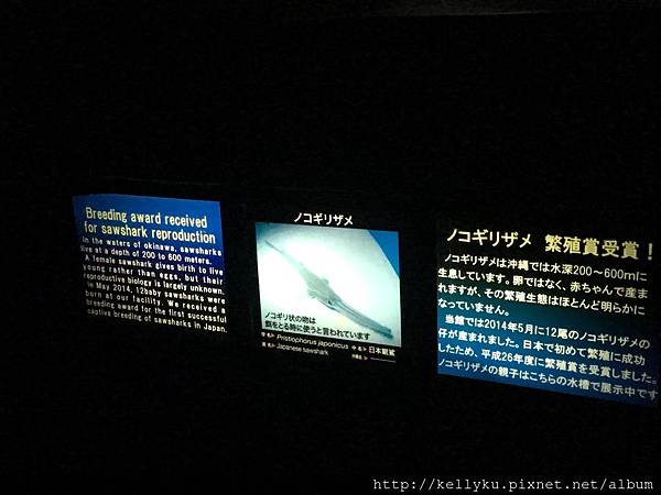 IMG_4480.JPG IMG_4480.JPG