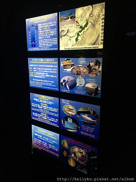 IMG_4482.JPG IMG_4482.JPG