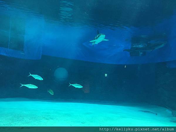 IMG_4494.JPG IMG_4494.JPG