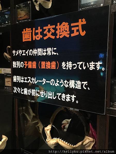 IMG_4498.JPG IMG_4498.JPG