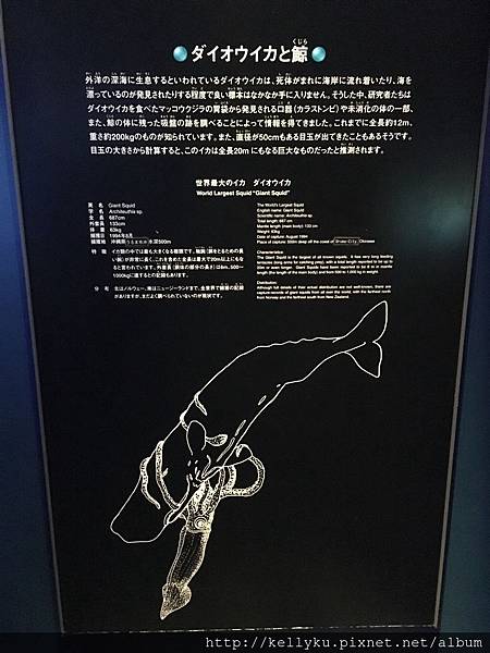 IMG_4507.JPG IMG_4507.JPG