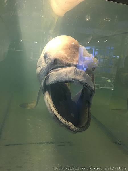 IMG_4527.JPG IMG_4527.JPG