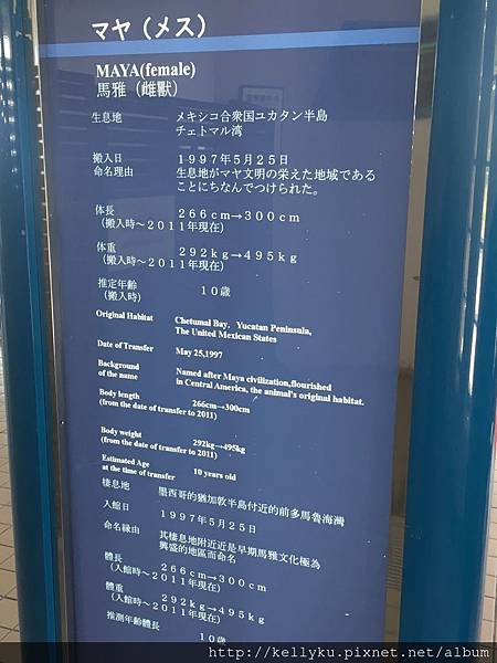 IMG_4541.JPG IMG_4541.JPG