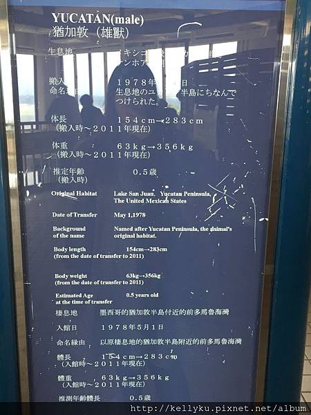 IMG_4542.JPG IMG_4542.JPG
