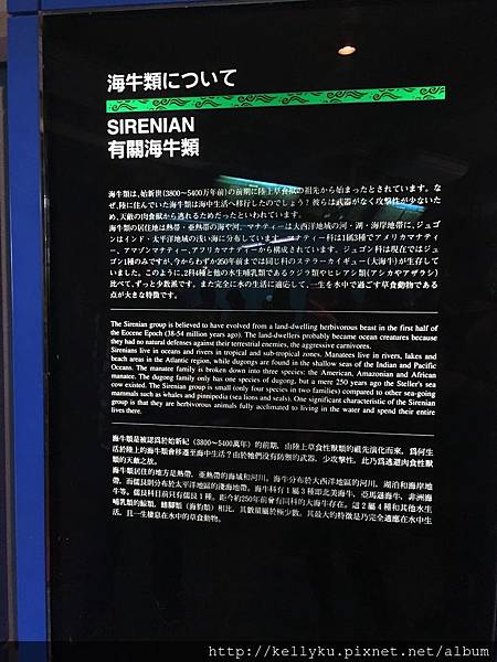IMG_4547.JPG IMG_4547.JPG