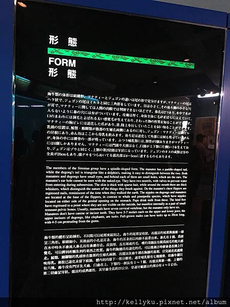 IMG_4548.JPG IMG_4548.JPG