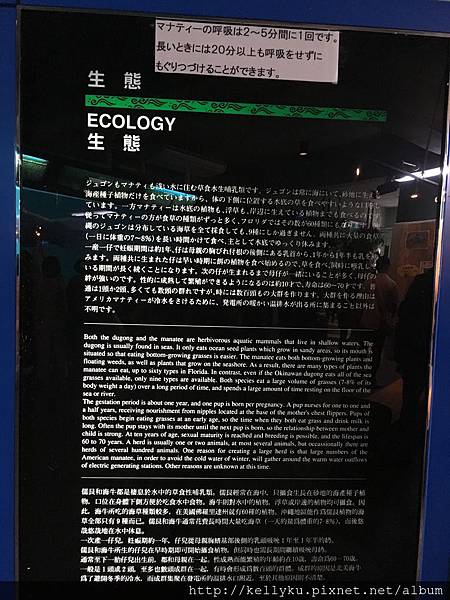IMG_4549.JPG IMG_4549.JPG