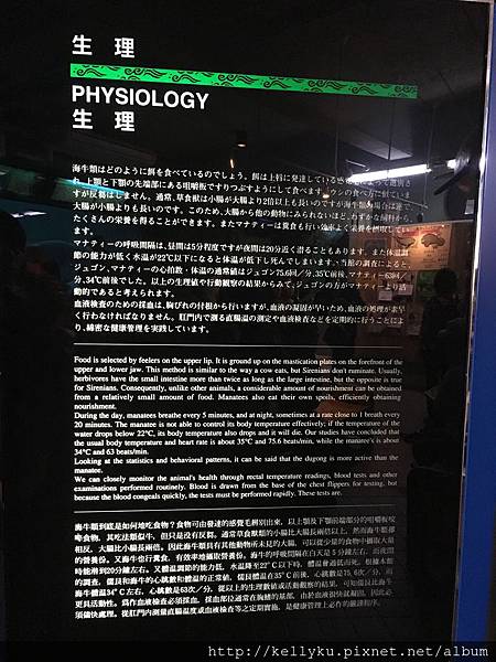 IMG_4550.JPG IMG_4550.JPG