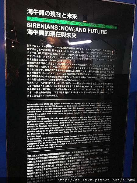 IMG_4552.JPG IMG_4552.JPG