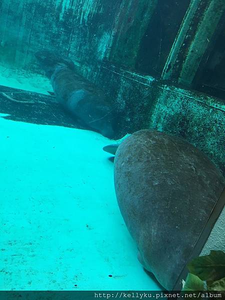 IMG_4559.JPG IMG_4559.JPG