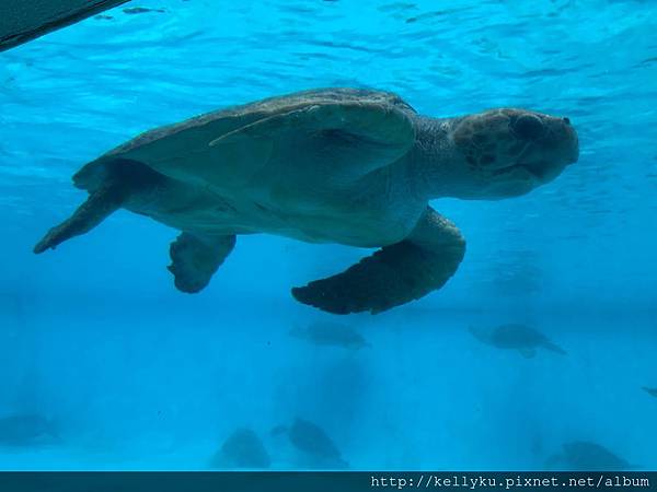 IMG_4577.JPG IMG_4577.JPG