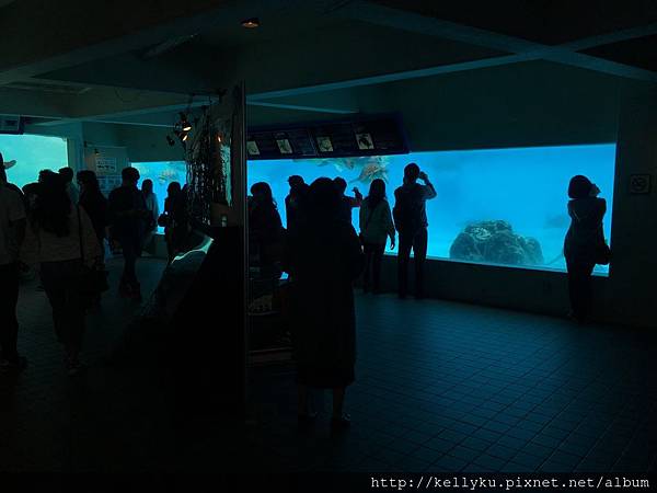 IMG_4589.JPG IMG_4589.JPG