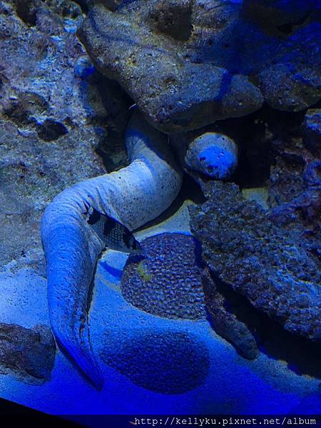 IMG_4326.JPG IMG_4326.JPG