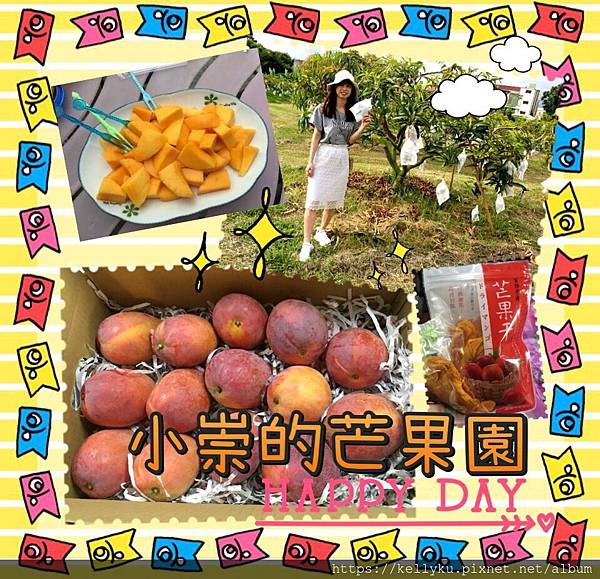 [遊記][玉井] 小崇芒果園-來芒果的故鄉玉井採芒果囉~