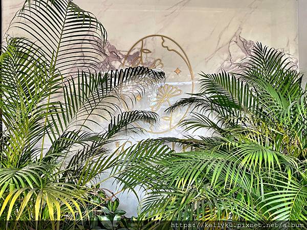 [食記] 台南 CHUJU 雛菊餐桌-森林系夢幻IG名店