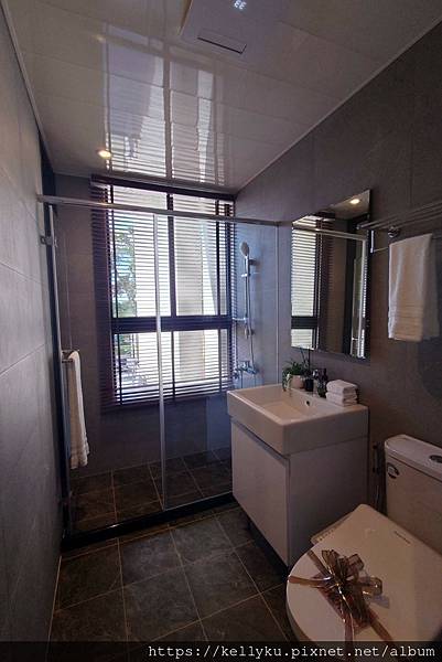 佳順大順樣品屋主臥廁所