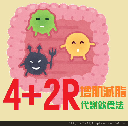 4+2R增肌減脂代謝飲食法.png