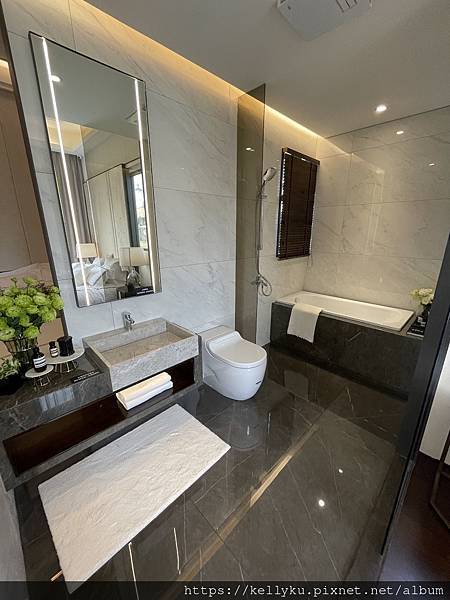 宗大敘山樣品屋3房主浴