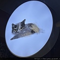 IMG_1152.jpeg