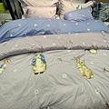 IMG_0626.jpeg