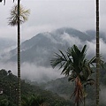DSCF1431.jpg
