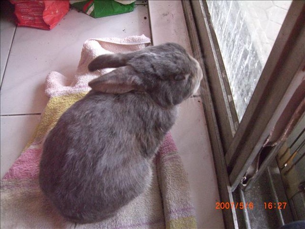 小P看風景跟吹風