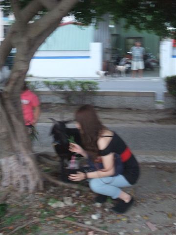 DSCF2136.jpg