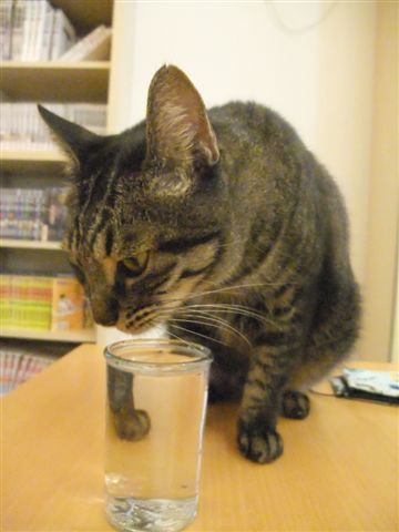 DSCF2185.jpg