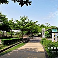 東豐綠色走廊.后豐鐵馬道 099