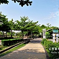 東豐綠色走廊.后豐鐵馬道 099