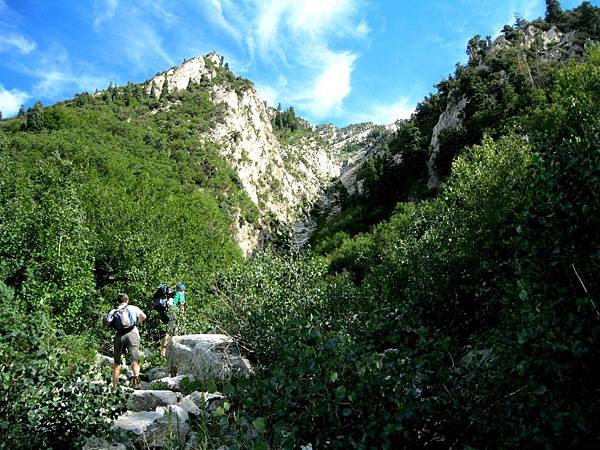 Big Cottonwood