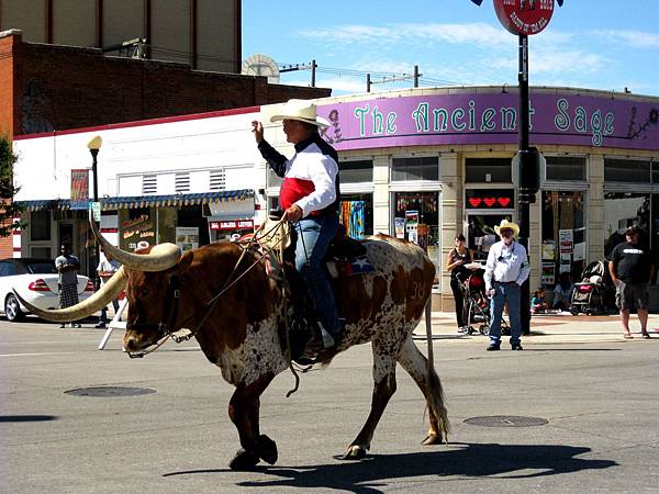 bull riding 