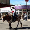 bull riding 