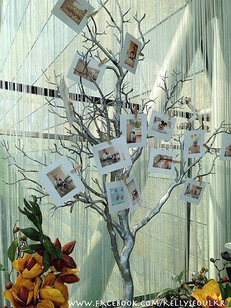 韓國寶寶週歲都怎麼慶祝？（下）_img_1