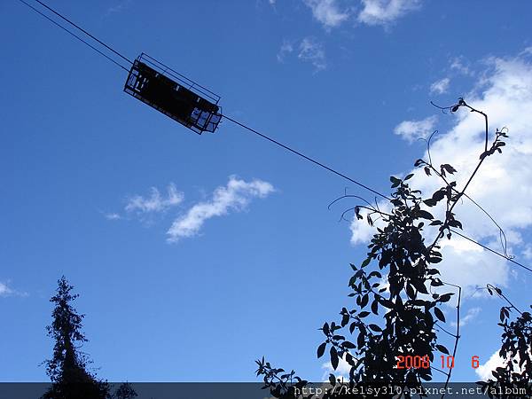 澳洲雪梨2008 358.jpg