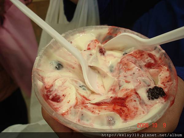 澳洲雪梨2008 855.jpg