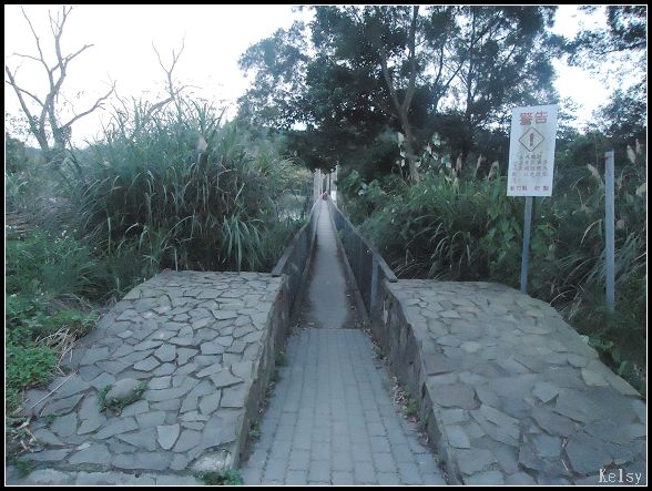 寶湖吊橋6