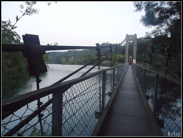 寶湖吊橋7