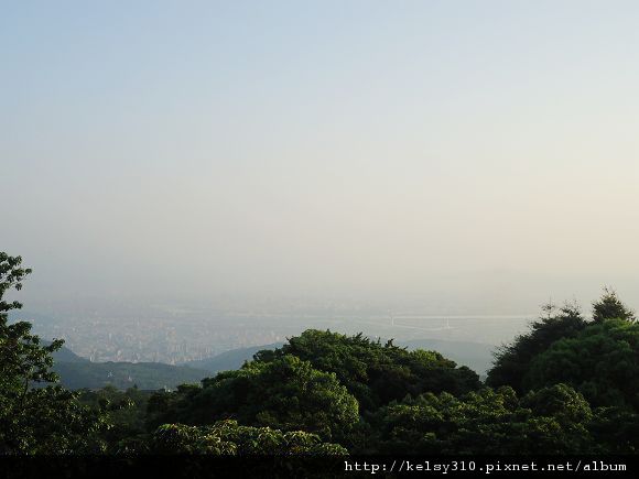 陽明山5